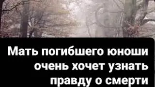 Влад Бахов последние новости про даты от адвоката