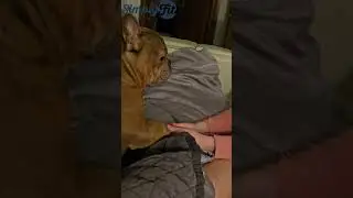 I am a PRIORITY in the house