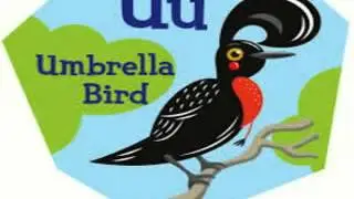 Animal Alphabet