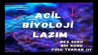ACİL BİYOLOJİ LAZIM - BEŞ SORU FULL TEKRAR - ENERJİ DÖNÜŞÜMLERİ #yks2024 #tyt2024 #aytbiyoloji