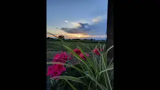 Как любовь твою понять