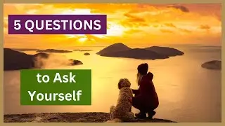 Reflect on Your Animal Communication Journey with these 5 powerful questions to guide you