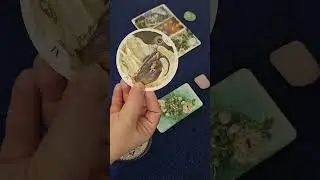 Que siente por ti?  ✨️ Tarot Interactivo #nelystarot #tarotamor #Tarotinteractivo #tarothoy