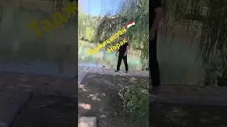 Лучшая Страна в мире