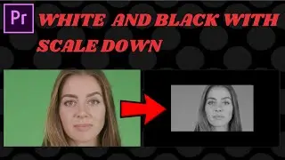 (←This effect) Black and White with Scale Down | Tutorial Premiere Pro | 20 Seconds Tutorial