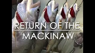 Lake Tahoe Mackinaw Trout Fishing - Catch and Cook!