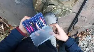 поход в горную речку, рыбалка с лайками