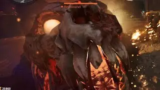 First Encounter with Firebase Z Doggos