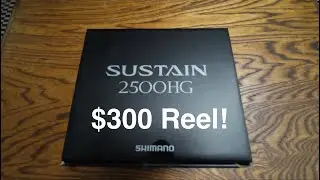 Shimano Sustain 2500 HG New Open Box 2024