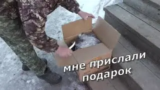 Нам прислали подарок. Бензопила ШТИЛЬ-361. Бобры.