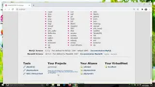 WAMP server localhost is not opening any project from your projects directory even it is showing