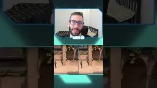 YA NO ATRAVIESAN PAREDES | KOI Black
