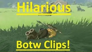 33 Minutes of the Best Botw Clips of All Time!