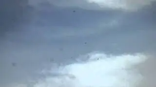 андижанцы.  молодые на игре.