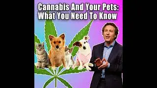 Cannabis And Your Pets: What You Need To Know with Veternarian Dr. Gary Richter | Be Informed. Be...