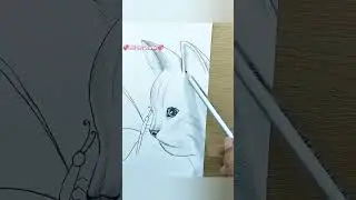 A cat with butterfly drawing 