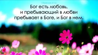 Больше всего любовь! Юлия Салтаненко