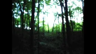 ✦ free ambient indie type beat 