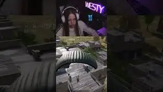 Жесткая заруба. TWITCH: weeesty