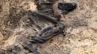 Сколько павших солдат полегло вдоль дорог? How many fallen soldiers were killed along the roads ...?