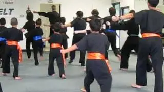 Spring Martial Arts - Tan Tui #1 intro