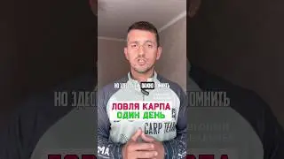 Как ловить карпа за один день? 