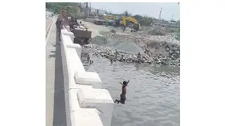 Mga bata palang malalakas na ang loob!😲😂