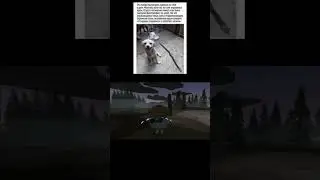 Жалко собаку 