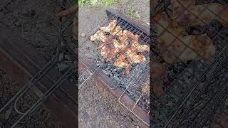 Крылышки и люлякеб