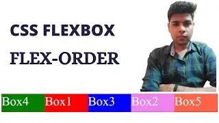 Flex order in css || CSS Flexbox Tutorials in Hindi - 6 || Flexbox in CSS in Hindi 
