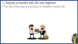 Step-by-Step Guide for Domain Transfer Process