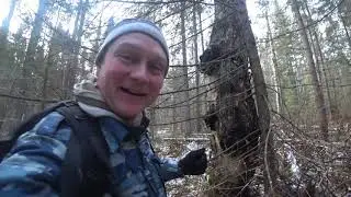 ЧАГА РОГА ЛОСЯ БОБРИНЫЙ ПРУД!!! ДЕНЬ ВТОРОЙ!!! #46