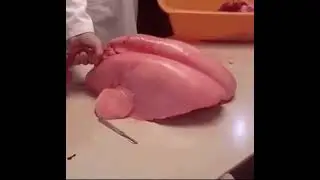 Сигарет Наша чеккан инсон упкаси.