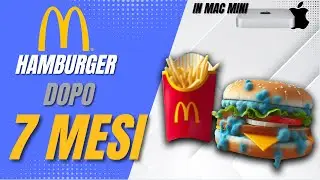 7 MESI DOPO - hamburger McDonald's sarà AMMUFFITO? Sfatiamo un mito