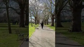 East Ham Walk #tree #green
