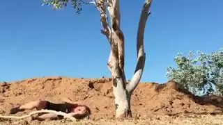 Aqui en el rancho toda fit