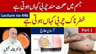 "Weight Loss Method" by Dr. Ben Bikman | Lecture 446 ; Part1