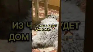 ИЗ ЧЕГО БУДЕТ ДОМ КОТА? 😁🏠 #котантоха строим дом коту