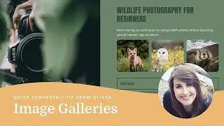 How to add an image gallery to your landing page