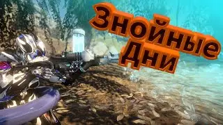 [Обзор] Знойные дни! Мочи врагов! |||#WARFRAME|||