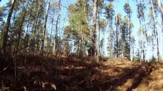 Deer Hunting Surprise