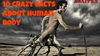 10 Crazy Facts About Human Body