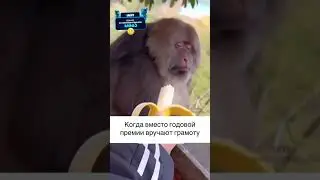 Грамота вместо премии грамота | #Юмор #shorts #reels