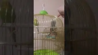 #ор #ржака