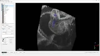 Saving and loading scene files - OCMV