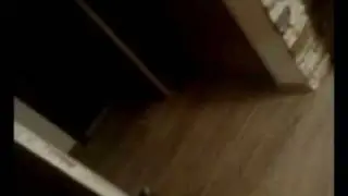 Кот бегает и прыгает на стену