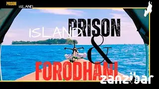 PRISON ISLAND TOUR AND FORODHANI ZANZIBAR