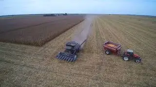 Corn Harvest 2020