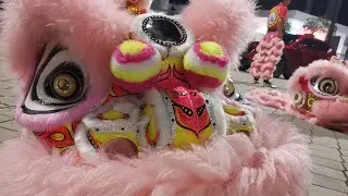 Led Lion Dance 2024 财神爷跳舞 科目三 周星翅