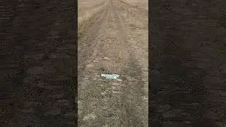 Черноморский тракт!Старинная,мощенная дорога от г.Ставрополя до г.Екатеринодара(Краснодара)